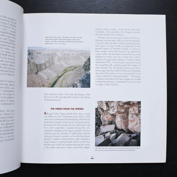 Vintage 1999 Rock Art in the Andes of Capricorn